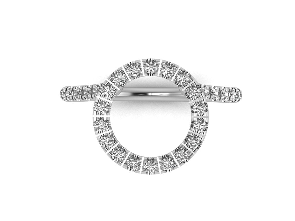 halo ring guard